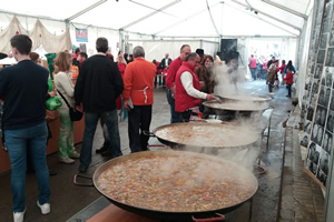 fallas 2015 1